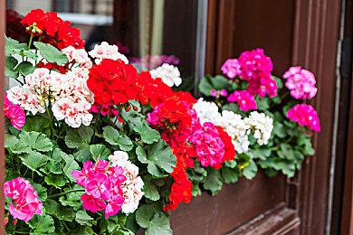 中国玩家获得《艾尔登法环》首个白金奖杯 真速度